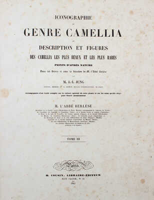 [Берлез Л. Иконография рода камелий или описание и изображения самых красивых и редких камелий... В 3 т.]. 